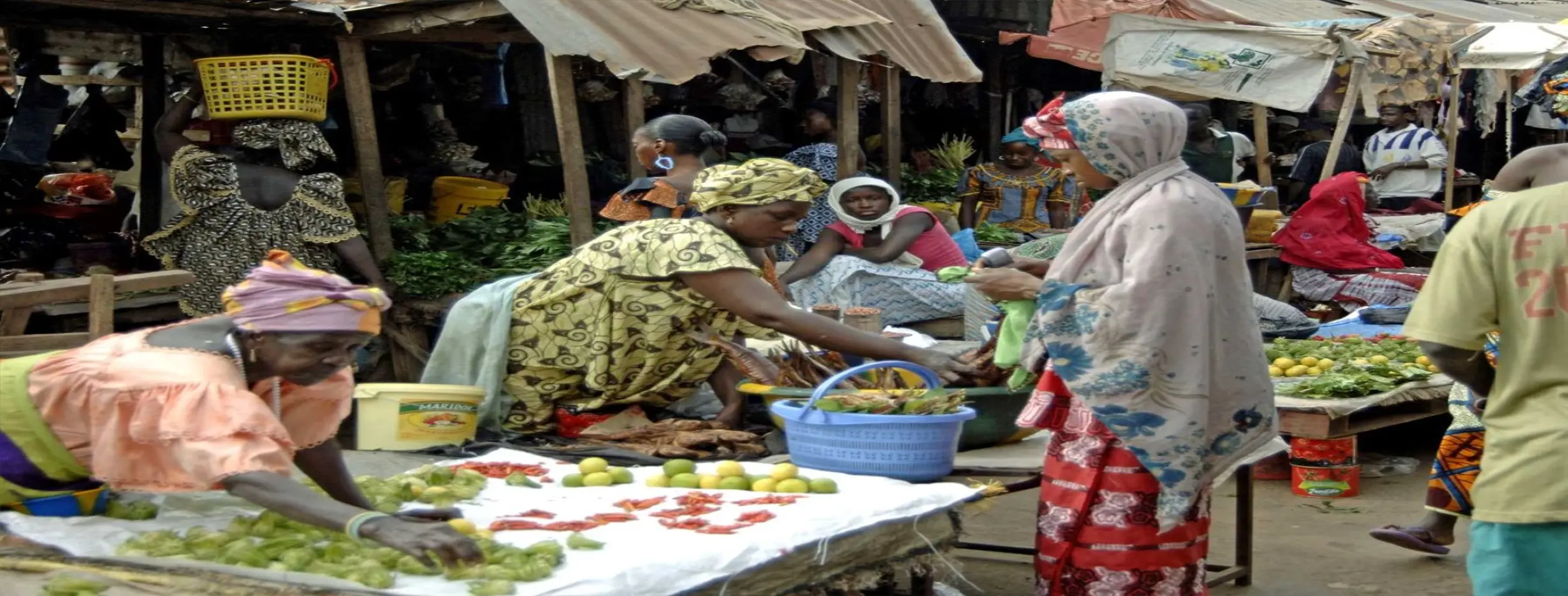 Image for Albert Market Exploration
